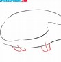 Image result for Life Cycle of a Hedgehog Easy to Draw