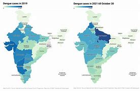 Image result for Dengue in India