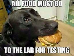 Image result for Animal Testing Meme