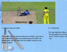 Image result for Text-Based Cricket Game
