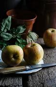 Image result for Apple Still Life Photography