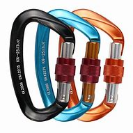 Image result for Professional Mountain Climbing Carabiner