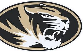 Image result for Greenville Tigers SVG