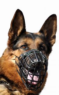 Image result for Pet Muzzles Dog