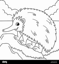 Image result for Echidna Coloring Pages
