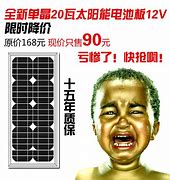 Image result for Solar Panel Labels