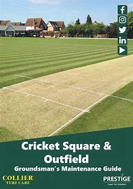 Image result for 22 Yards Cricket Pitch