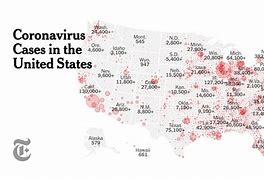 Image result for 1000 Virus Cases in New York