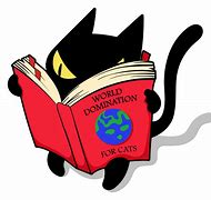 Image result for Cat Reading Meme