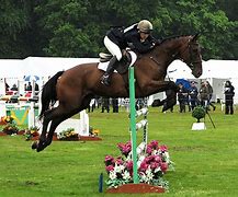 Image result for Show Jumping