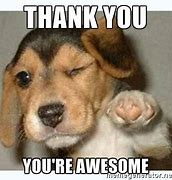 Image result for Funny Thank You Cute Meme