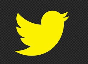 Image result for Yellow Twitter Bird Logo