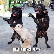 Image result for Dancing Dog Meme