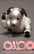 Image result for Aibo H
