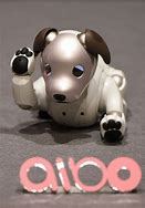 Image result for Aibo Japan