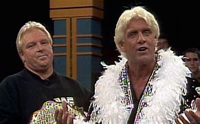 Image result for Ric Flair WWE Debut