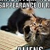 Image result for Funny Cat Memes of All Time