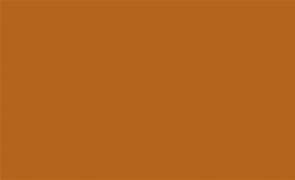 Image result for Light Tan Color Background