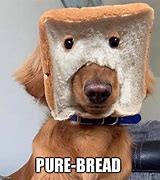 Image result for Bread Product Testing Meme