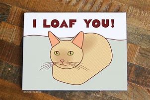 Image result for Valentine's Cat Puns