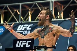 Image result for Cool UFC Pictures