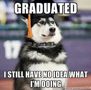 Image result for Husky Memes Graduated