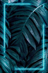Image result for Plant Wallpaper Desktop Neon