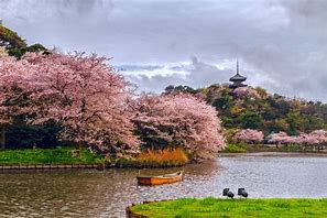 Image result for Yokohama Japan Garden