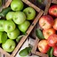 Image result for Types of Autumn Apple's