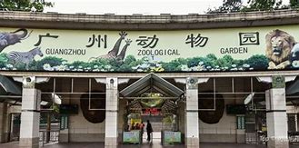 Image result for Guangzhou Zoo Entrance