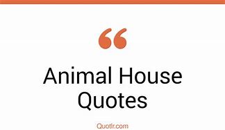 Image result for Flounder Quotes From Animal House