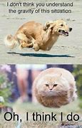 Image result for Hilarious Pictures to Make You Laugh