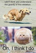 Image result for Hiliarious Animal Memes