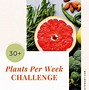 Image result for 40 Plants a Week