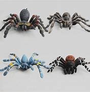 Image result for Sea Spider Toy