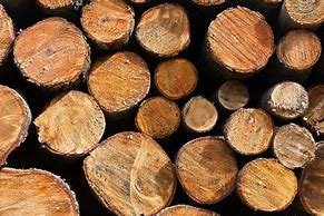 Image result for Wood Used in Building Materials