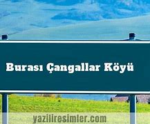 Image result for cangallar