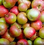 Image result for Yellow Apple for Kids