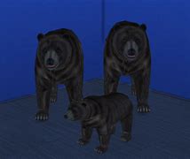 Image result for Sims 4 CC Bear Phone Case