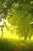 Image result for Music Green Sage Background