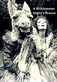 Image result for Helena A Midsummer Night's Dream