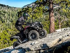 Image result for Petcock for ATV Brute Force 300