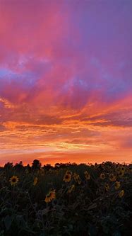 Image result for Sunset Aesthetic Pinterest