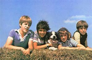 Image result for Timmy Famous Five