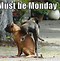 Image result for Monday Baby Memes