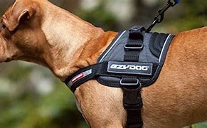 Image result for 7 Point Harness
