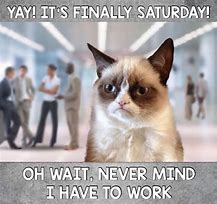 Image result for Funny Working Saturday Memes