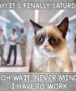 Image result for Grumpy Cat Work Meme