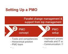 Image result for Setting Up a PMO