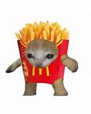 Image result for Dripped Out French Fry Cat